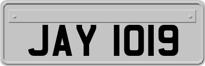JAY1019