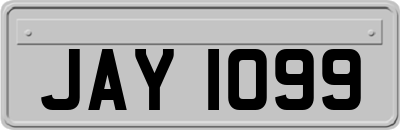 JAY1099