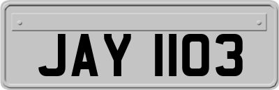 JAY1103