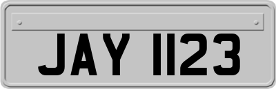 JAY1123