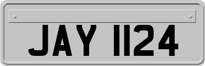 JAY1124