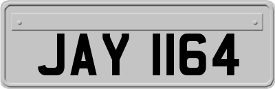 JAY1164