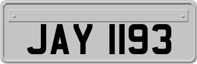 JAY1193