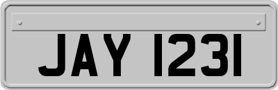 JAY1231