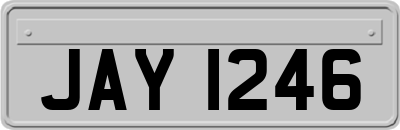 JAY1246