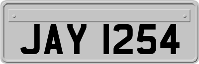 JAY1254