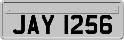 JAY1256