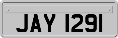 JAY1291
