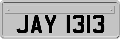 JAY1313