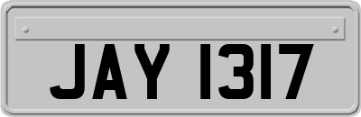 JAY1317