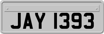 JAY1393