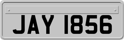 JAY1856