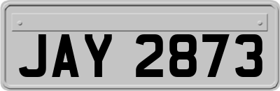 JAY2873