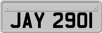 JAY2901