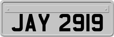 JAY2919