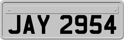 JAY2954