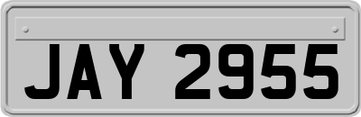 JAY2955