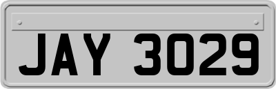 JAY3029