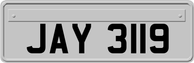 JAY3119