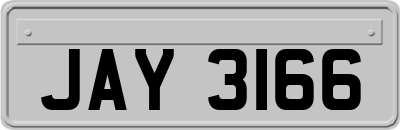 JAY3166