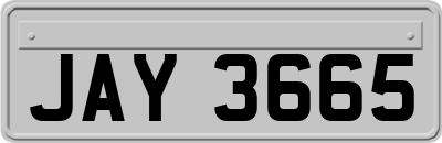 JAY3665