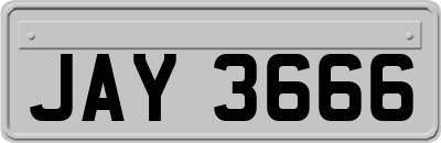 JAY3666