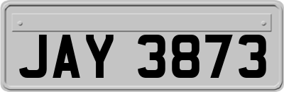 JAY3873