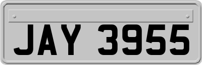 JAY3955