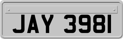 JAY3981