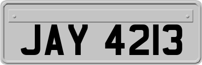 JAY4213