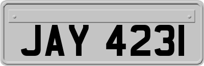 JAY4231