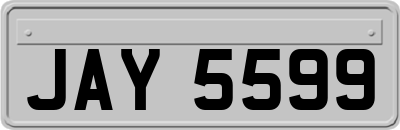 JAY5599