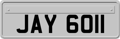 JAY6011