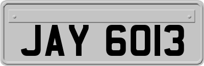 JAY6013