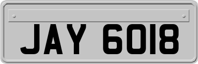 JAY6018