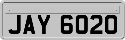 JAY6020