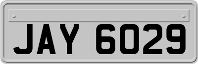 JAY6029