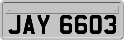 JAY6603