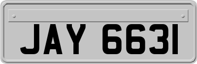 JAY6631