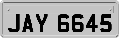 JAY6645