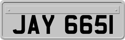 JAY6651