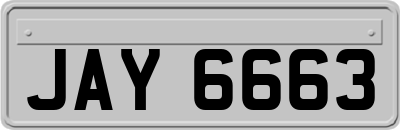 JAY6663