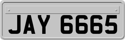 JAY6665
