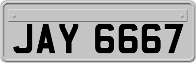 JAY6667