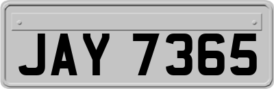 JAY7365