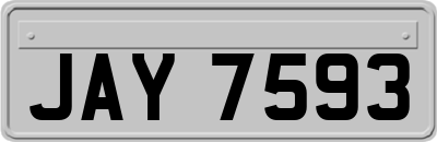 JAY7593