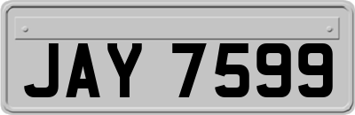 JAY7599