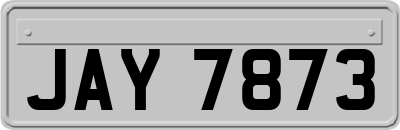 JAY7873