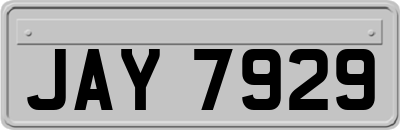 JAY7929