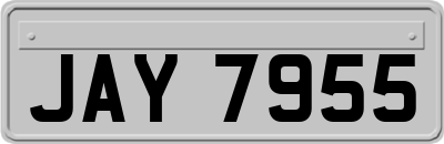 JAY7955